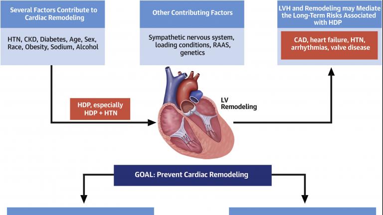 hypertensive-pregnancy-increases-a-woman-s-risk-of-early-death-nhlbi-nih